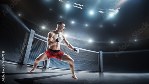 Fighter stance. MMA fighter in the octagon. Athlete. Side view. Sport. 3D © Ruslan Shevchenko