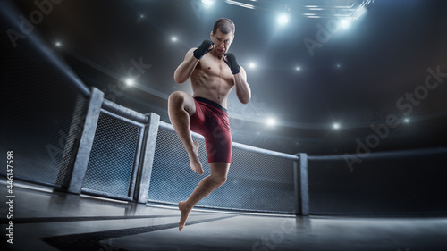 Jumping knee kick in the octagon. MMA cage. Male fighter jumping with a knee kick. Straight view. Sport. 3D