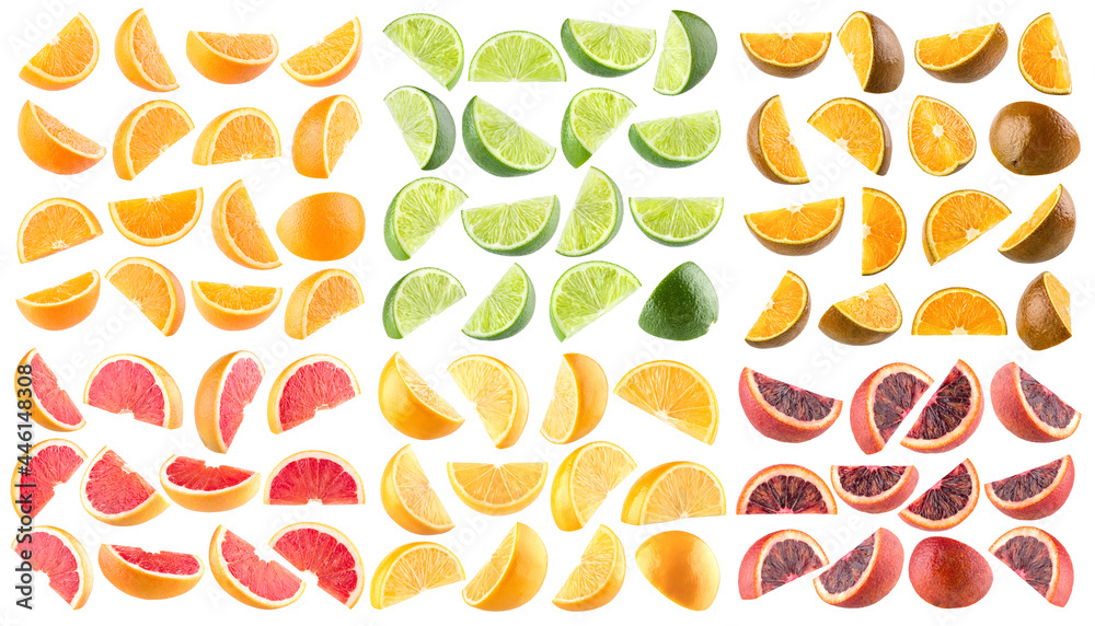 Collection of citrus slices Collection of citrus slices