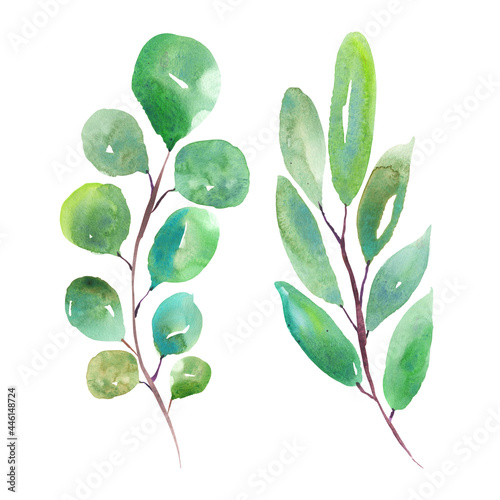 Watercolor illustration of leaf branches