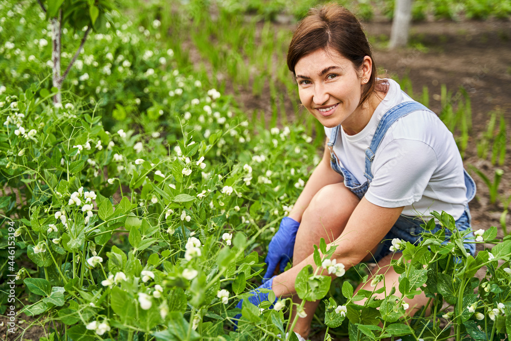 Smiling woman nourishing plants with water and fertilizer Smiling woman nourishing plants with water and fertilizer