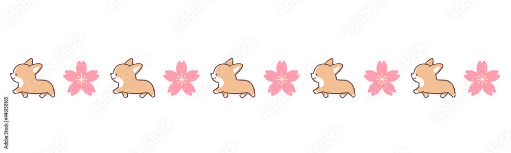 歩くコーギーと桜の花 歩くコーギーと桜の花
