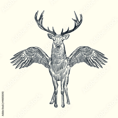 Vintage hand drawn sketch spread wings deer