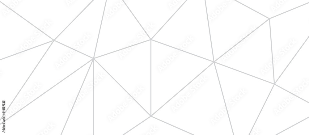 White Polygonal Mosaic Background. Business Design Templates. Vector illustration White Polygonal Mosaic Background. Business Design Templates. Vector illustration