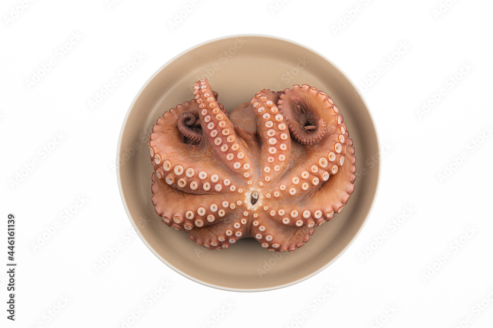 There is a boiled octopus on the plate. The background is white. There is a boiled octopus on the plate. The background is white.