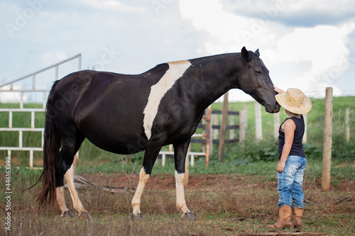 A very brave boy caressing a two-colored pampa pregnant mare of the Mangalarga breed.