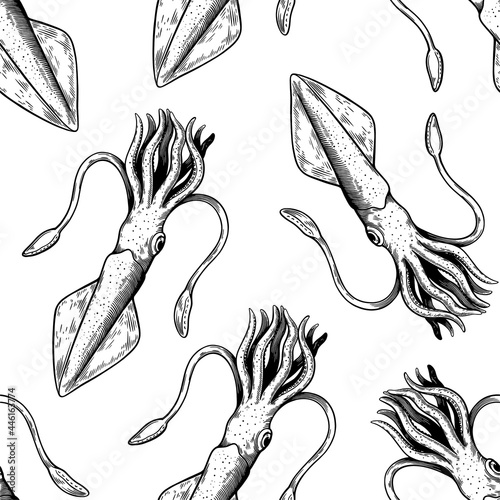 Seamless pattern with squid mollusks. Illustration in vintage line art style.