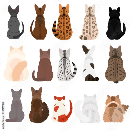 cats breed from behind bundle(2)