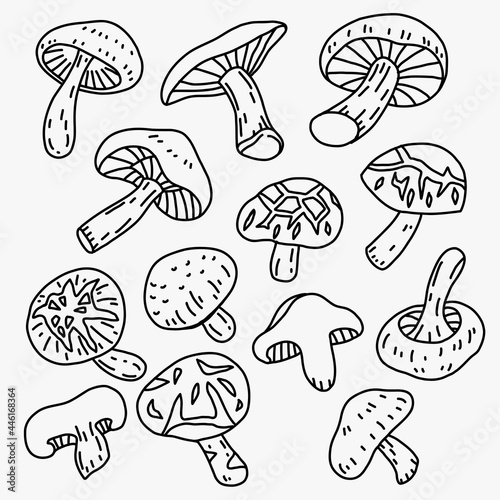 Doodle freehand sketch drawing of shitake mushroom vegetable..
