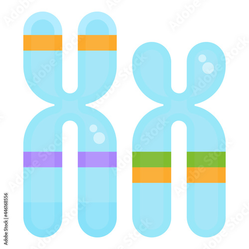 chromosome flat icon