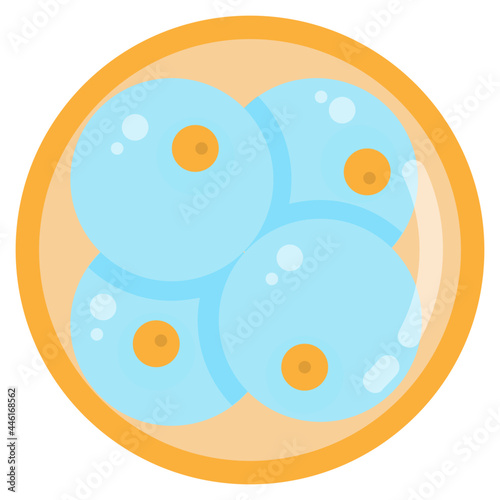 embryo flat icon
