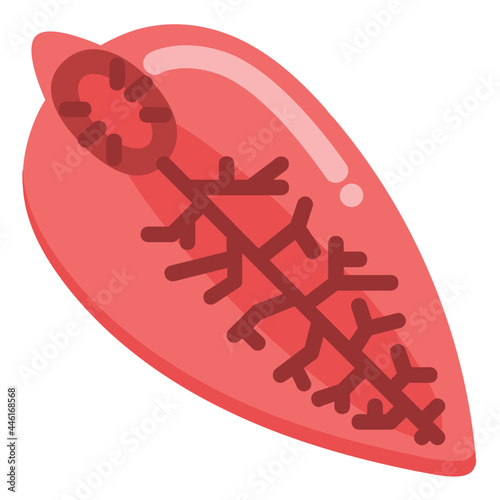 fluke flat icon