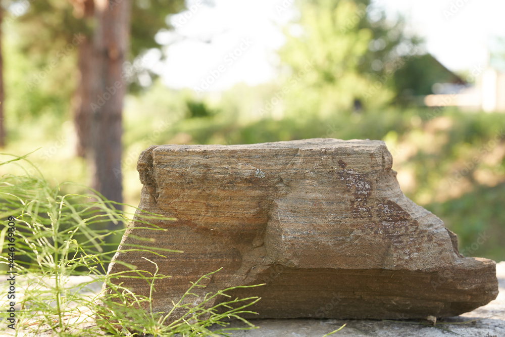 Fototapeta premium Stone on the background of green plants, the perfect podium for your product, natural background with textured pedestal. High quality photo