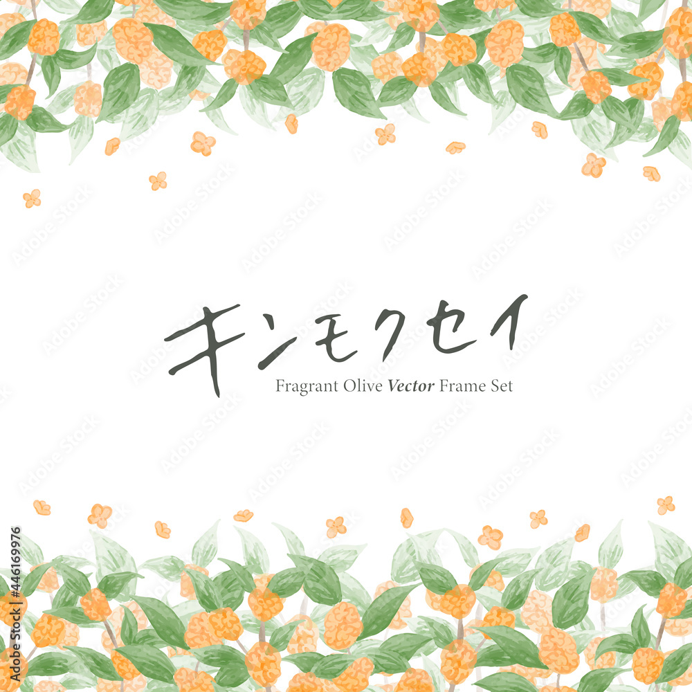 水彩風 金木犀のベクターイラスト フレームセット Stock Vector Adobe Stock