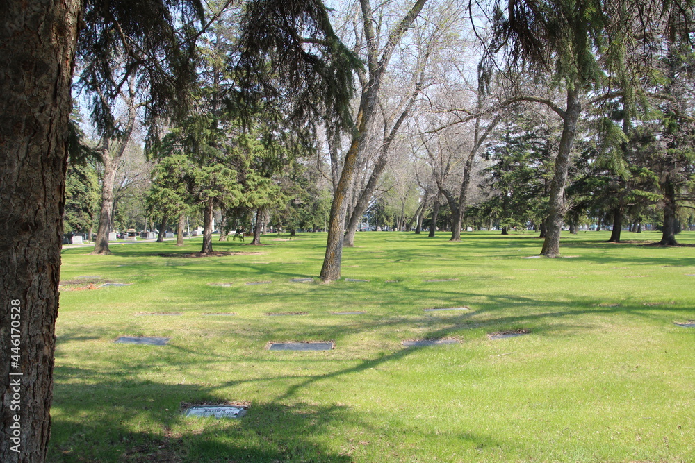 Spring Green In The Cemetery, Edmonton, Alberta