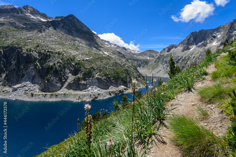 Foret, lac et montagne du Neouvielle dans les Pyrénées françaises