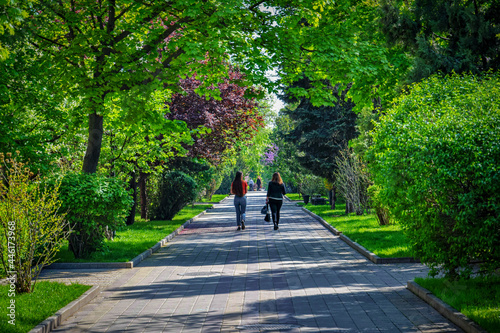 Фотография Pushkin Boulevard in Rostov-on-Don city