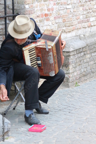person playing the accordion