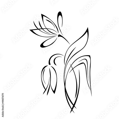 ornament 1871. two stylized flowers on stems with leaves in black lines on white background
