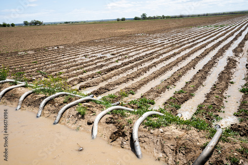 watering farm land
