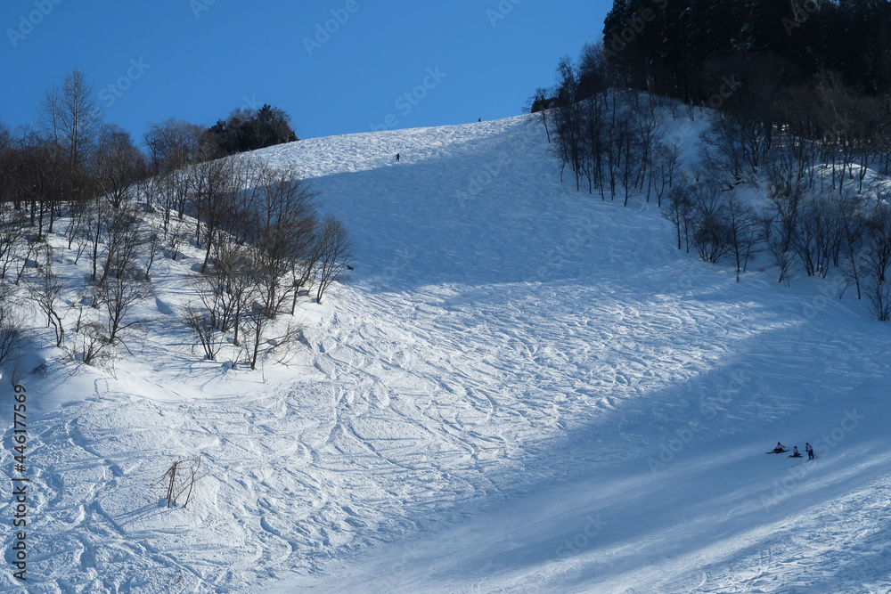 Obraz premium 晴天の日本のスキーリゾート