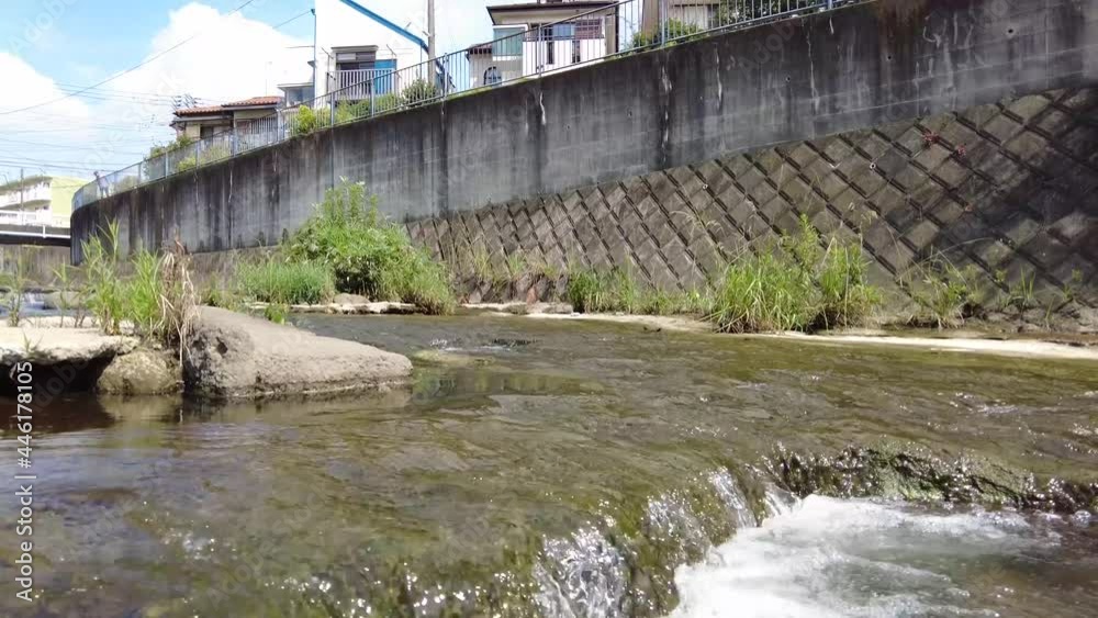 川のせせらぎ③
鶴見川7月の風景 川のせせらぎ③
鶴見川7月の風景