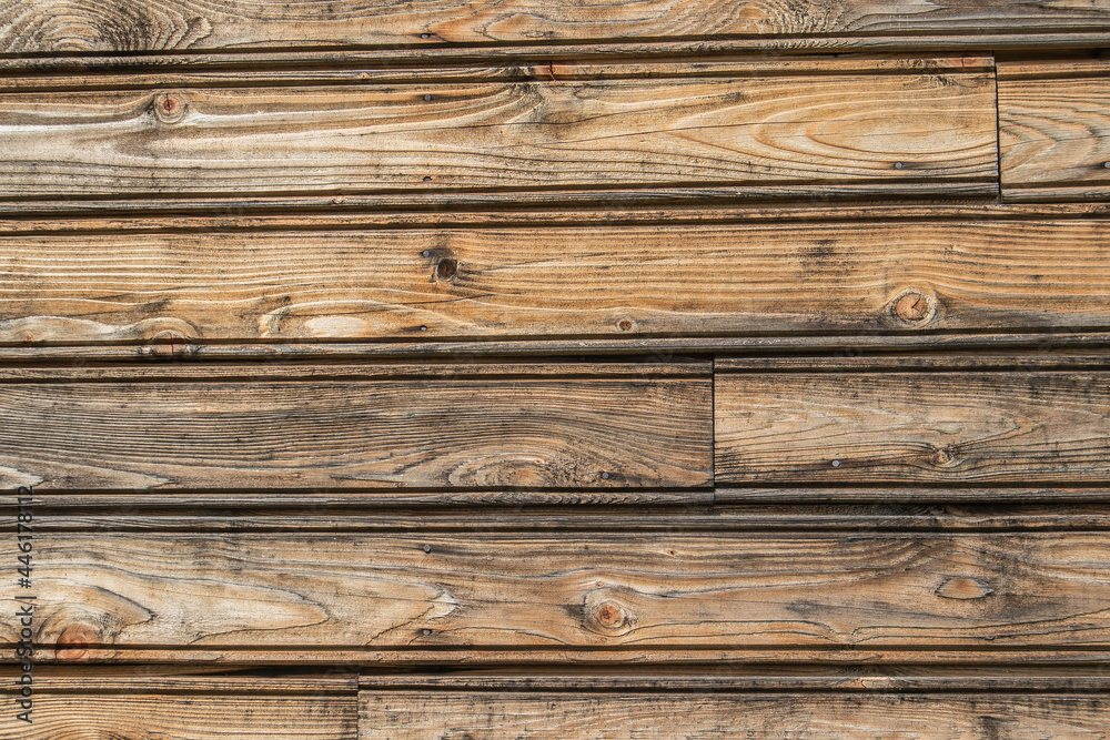 Fototapeta premium hh