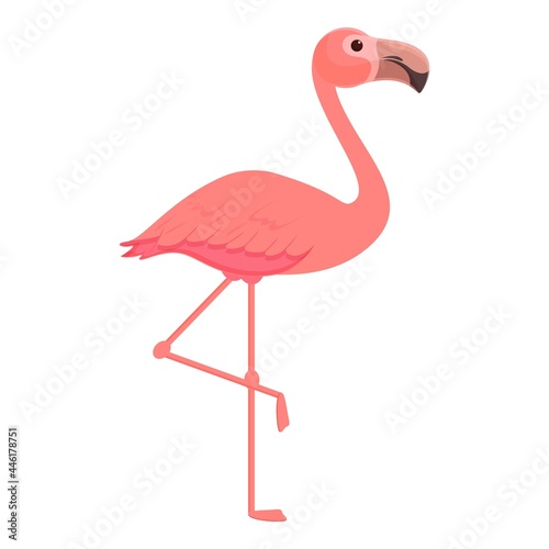 Safari flamingo icon cartoon vector. Zoo flamingo. Summer pink bird