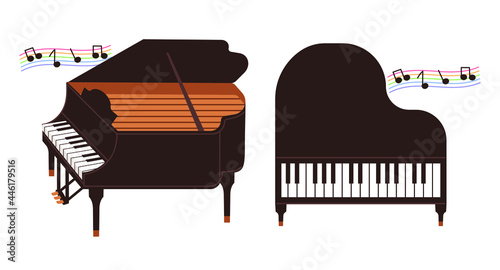 Side view and top view of a grand piano. Musical instruments vector illustration.