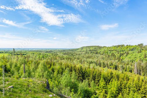 Landscape View of woodlands
