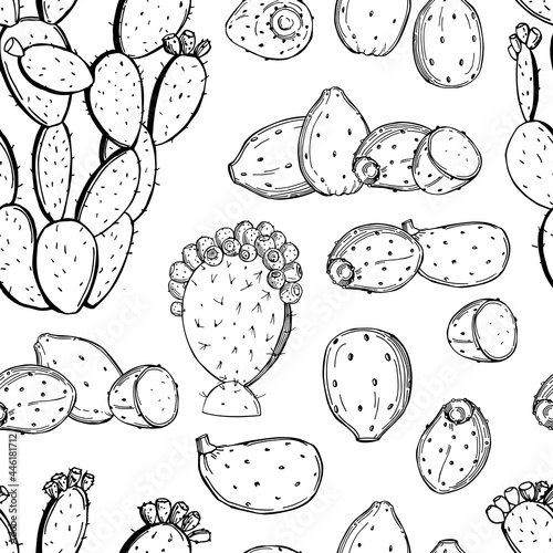 Prickly pear fruit. Edible cactus.Vector   pattern.