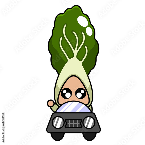 vector cartoon character cute bok choy vegetable mascot driving a car