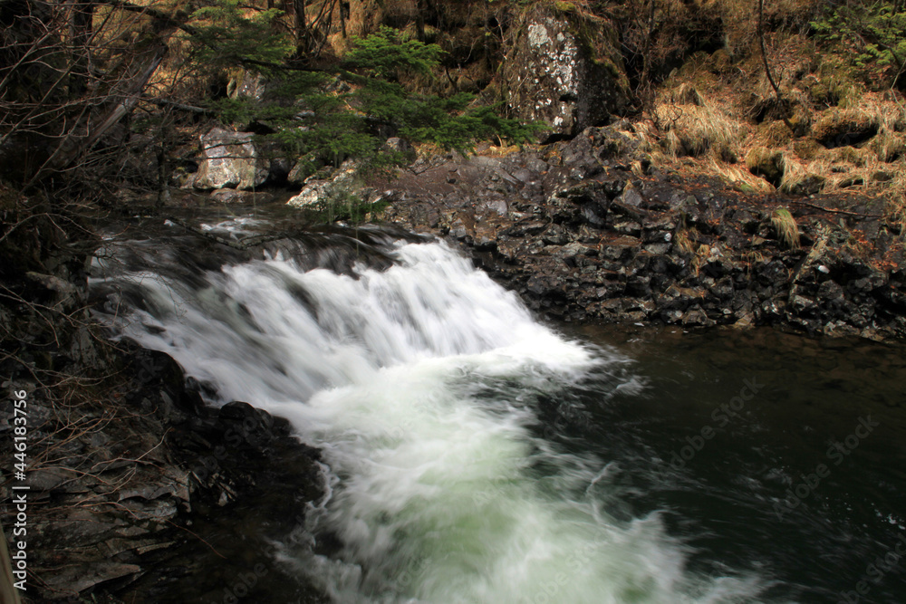 Naklejka premium 善五郎の滝