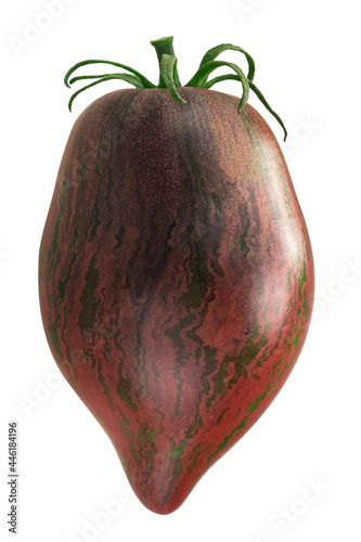 Obraz na plátně Rebel Starfighter Prime heirloom tomato (Solanum lycopersicum fruit) isolated