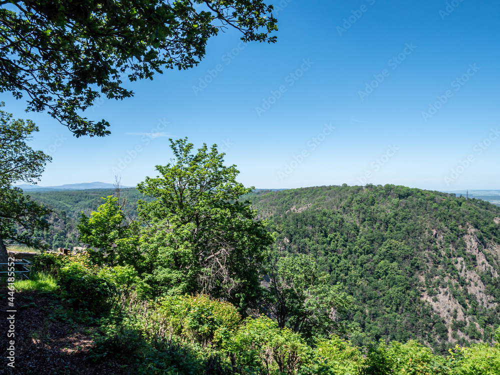 Blick über den Nationalpark Harz im Sommer