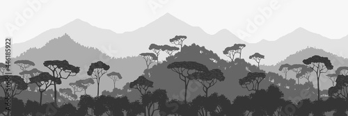 Mountains covered with tropical forest, black and white landscape, panoramic view