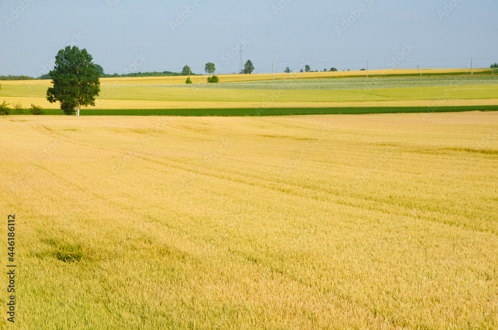 Landscape of Memanbetu Maerchen Hill