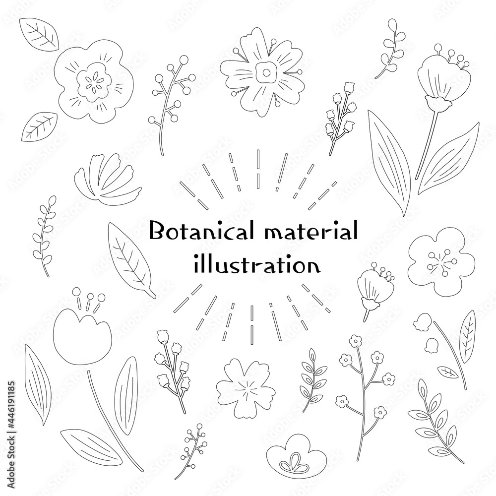 Flower set line drawing material Flower set line drawing material