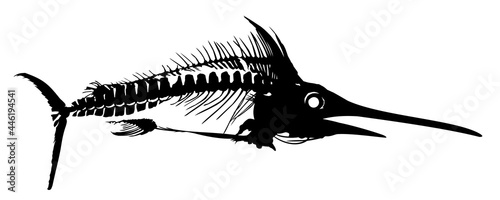 A Skeleton of big predatory sea fish.
