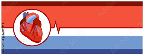 Human heart. Cardiological medicine. Background illustration. Medicines and services of a cardiologist. Banner. Pharmaceuticals. Ambulance. Flat design. Vector