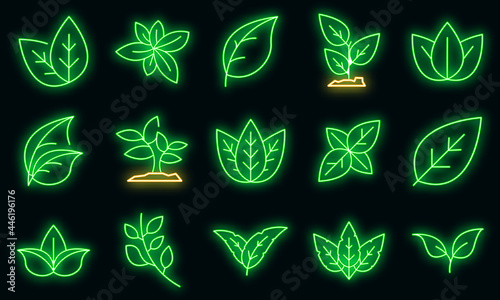 Basil icons set. Outline set of basil vector icons neon color on black