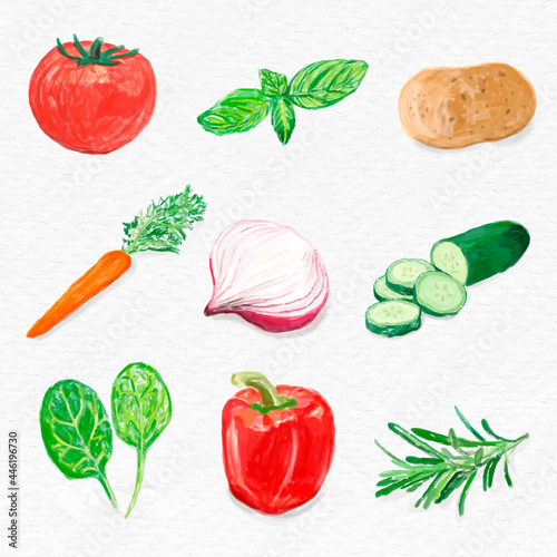 Vegetables vector watercolor hand drawn collection