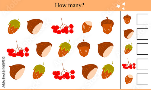 How many chestnuts, acorns, rowan berries and hazelnuts? Educational game for children. Autumn vector illustration