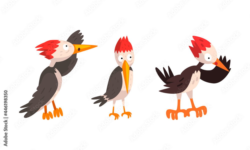 Fototapeta premium Funny Woodpecker Bird Character Set, Comic Woodland Bright Bird Cartoon Vector Illustration
