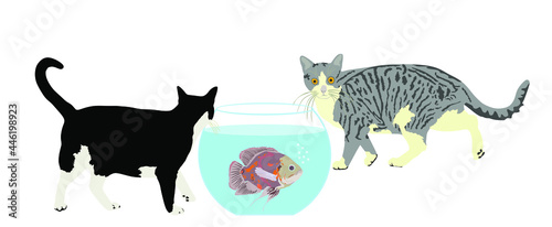 Two hungry cats walking around Oscar fish in fishbowl aquarium vector illustration isolated on white background. Home pet, curious cat and scared fish.