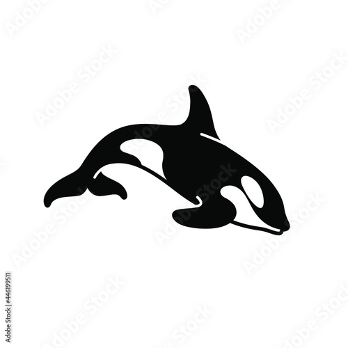 Cartoon killer whale sketch line icon. Сute animals set of icons.