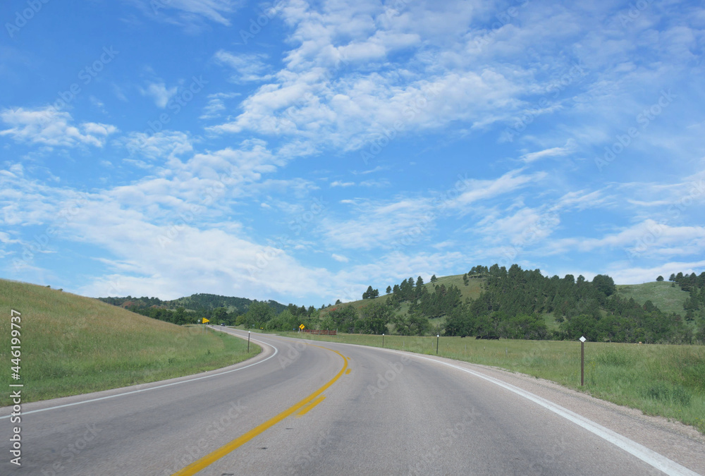 Scenic winding road along rolling hills and vegetation in Black Hills, South Dakota.