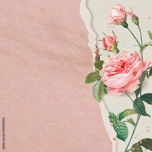 Pink rose frame design vector