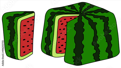 Square Watermelon Cartoon