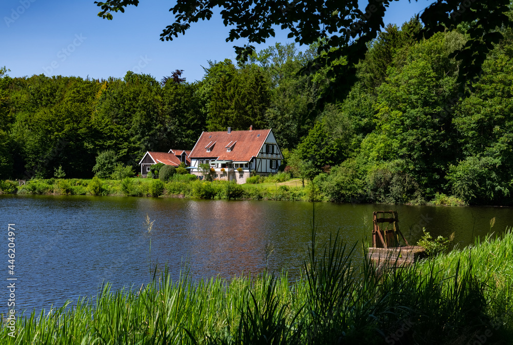 Horn-Bad Meinberg Unterer Teich Externsteine See Fachwerkhaus Teutoburger Wald Ostwestfalen-Lippe OWL Sommer Idyll Sehenswürdigkeit Touristen Attraktion Landschaft Natur Kraftort Panorma Wiembecke